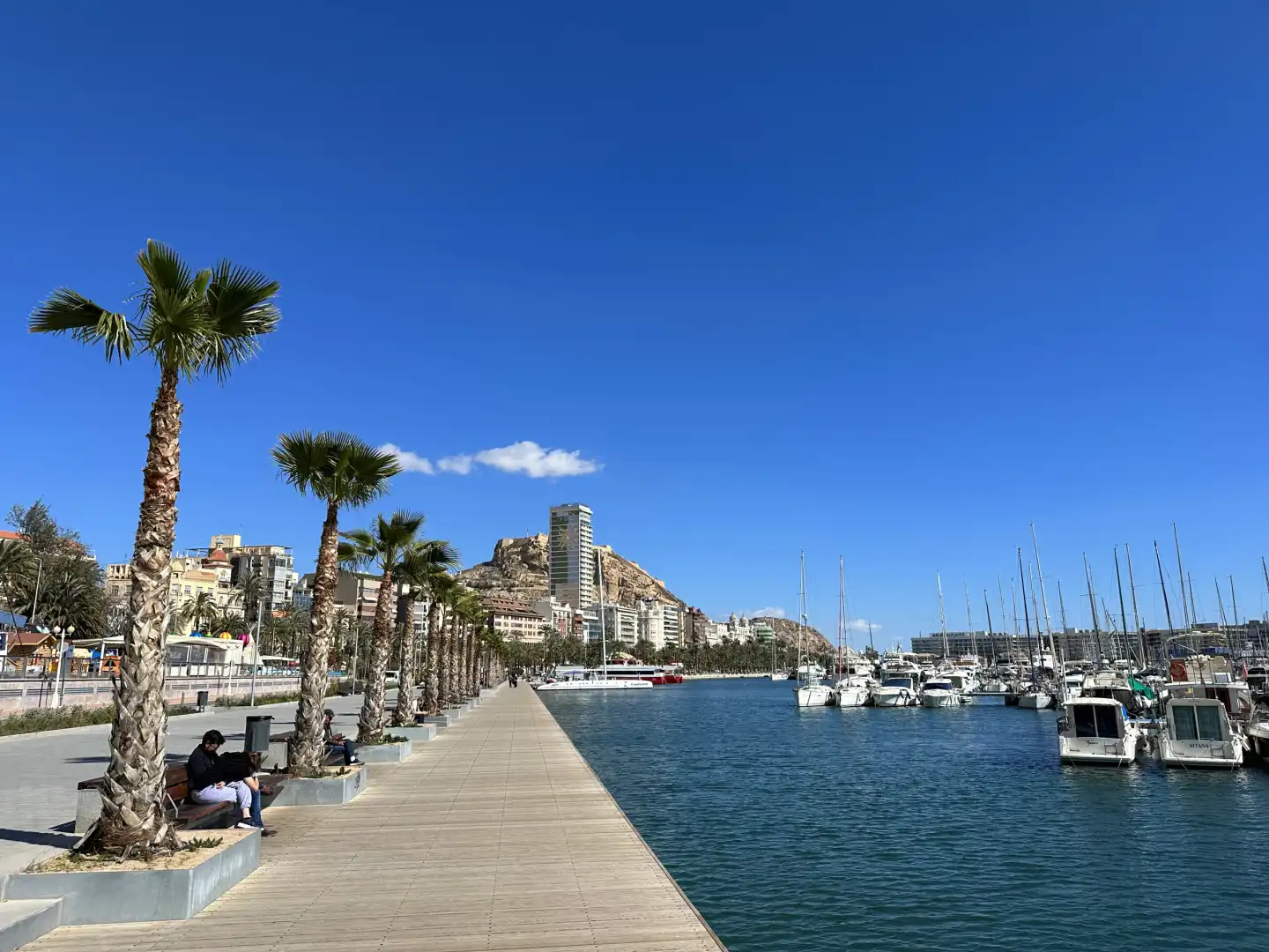 Alicante harbor promenade