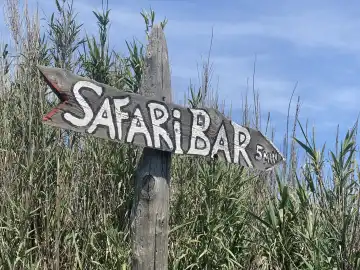 Safari Bar National Park Pula Kamenjak, Croatia, Europe