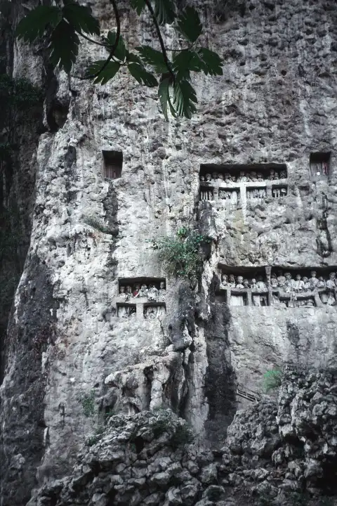 Traditional hanging graves of the Torajas at Rantepao in Celebes