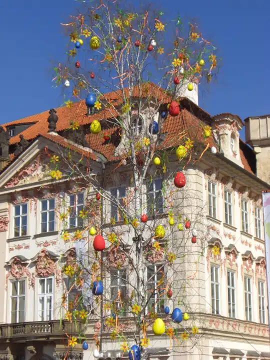 Osterbaum am Altstädter Ring, Prag