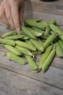 Woman peeling peas