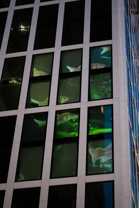 Video projection at the construction site of the Taunusturm Taunus Tower in Frankfurt/Main.