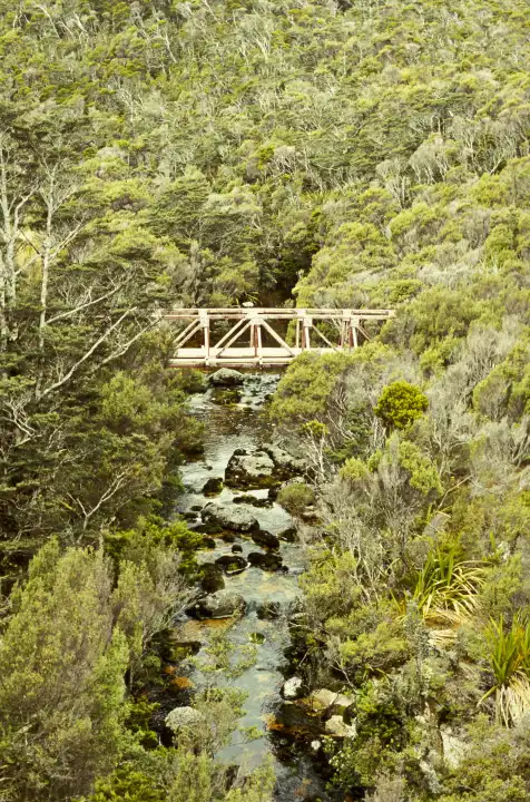 Neuseeland, Südinsel, Kahurangi National Park, Heaphy Track, Brücke nahe der MacKay Hut