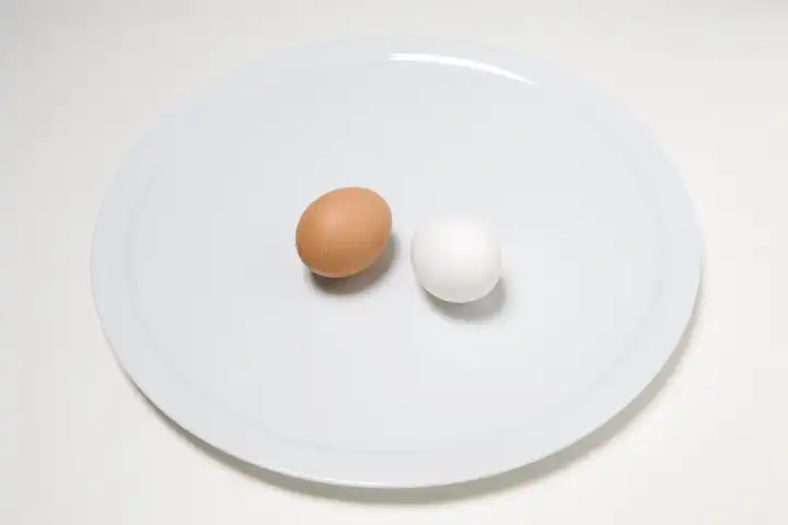 one brown and one white egg on a white plate
