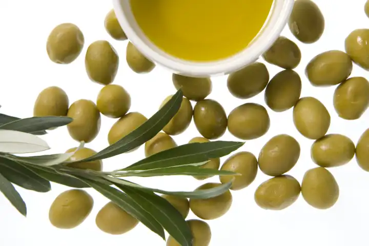 grüne Oliven, Schälchen mit Öl, Zweig, auf Weiß