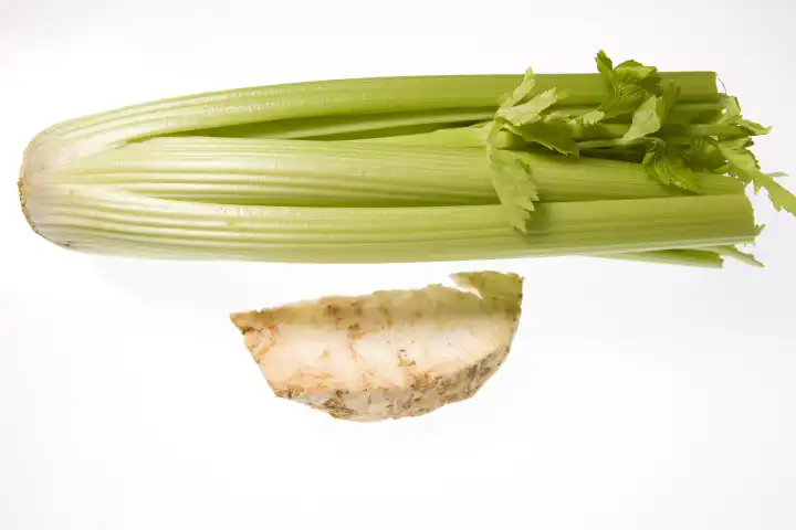celery and a piece of celeriac against white