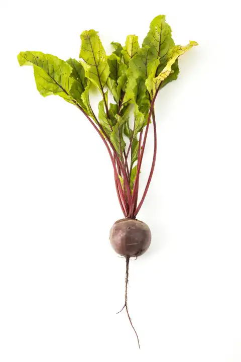 beetroot on white background