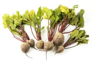beetroot on white background, topview