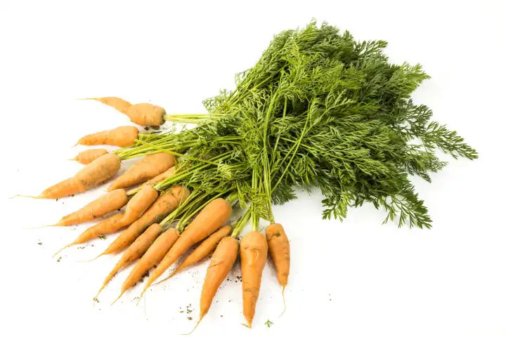 bunch fresh carrots on white background, topview
