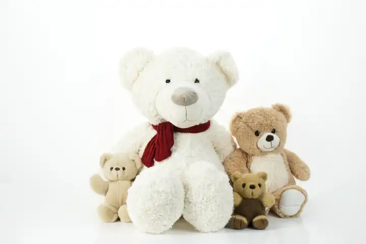 vier Teddybären vor weißem Hintergrund