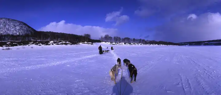 Norwegen, Lappland 4-2006, Hundeschlittenfahrt bei Kautokeino