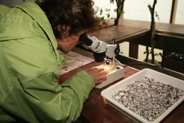 Frau untersucht Gestein unter Mikroskop