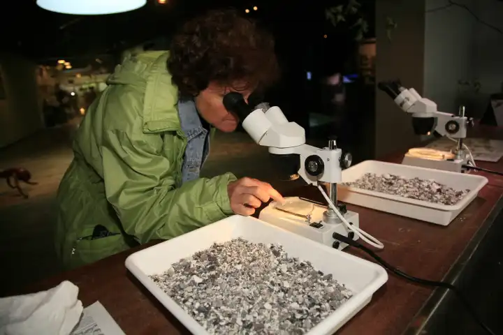 Scientist exploring stones with microscope