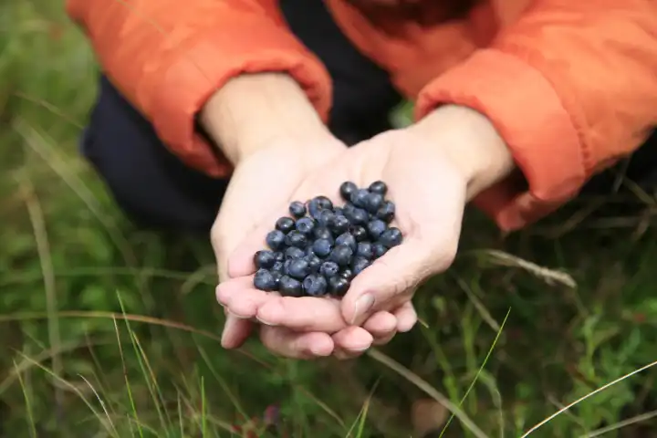 Woman holding Blueberrys