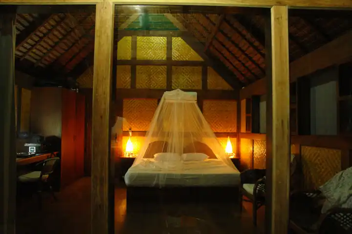 Bed with Mosquito Net