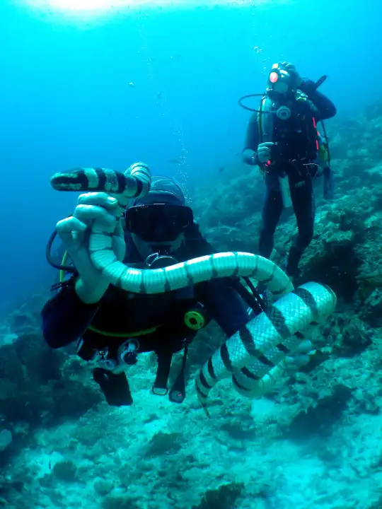 Taucher mit Unterwasserschlange