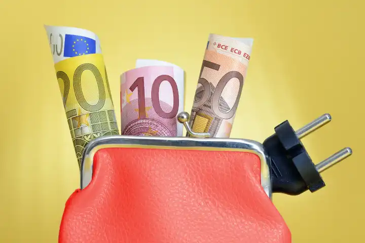 Euro bills and power plug in a purse, electricity costs