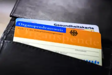 Organspendeausweis in einem Portemonnaie