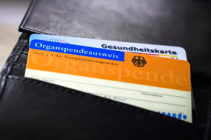 Organspendeausweis in einem Portemonnaie