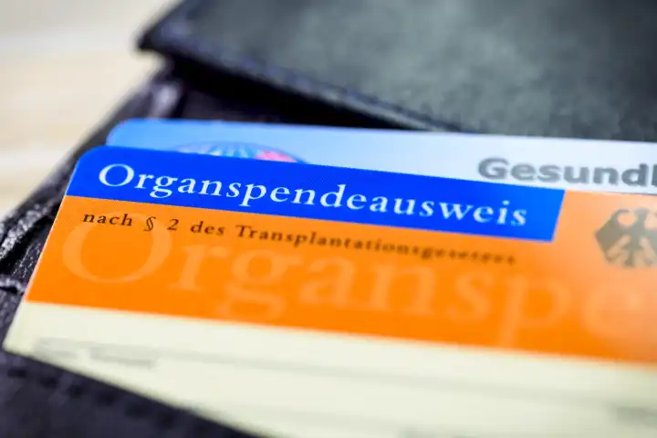 German organ donor card in a wallet
