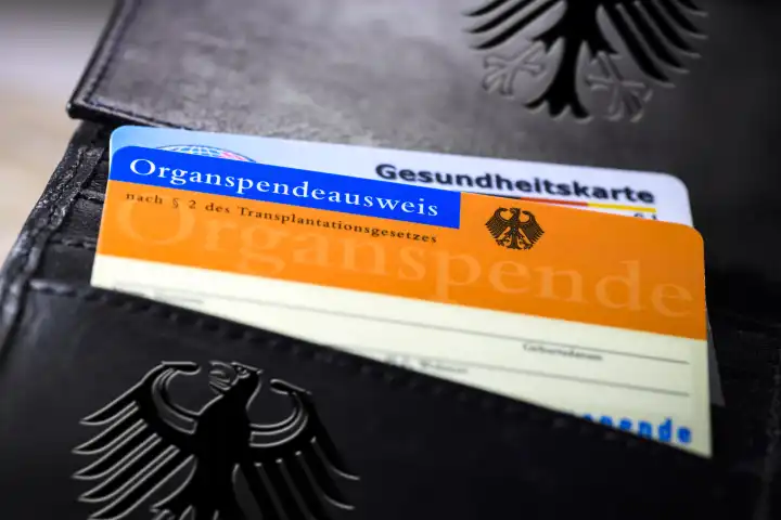 Organspendeausweis in einem Portemonnaie mit Bundesadler, Widerspruchslösung bei Organspenden