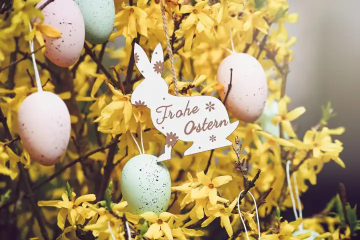 Osterhasen-Anhänger mit Aufschrift Frohe Ostern an einem Forsythien-Strauch mit Ostereiern