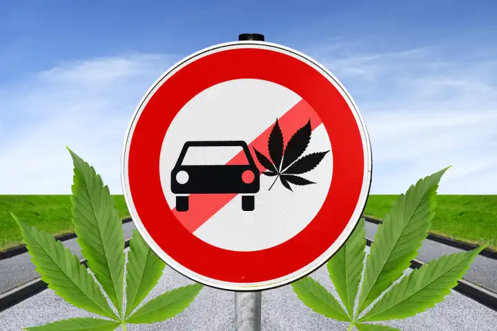 Verbotsschild mit Auto-Symbol und Cannabis-Blatt, Verbot für Cannabis-Rausch hinterm Steuer, Fotomontage