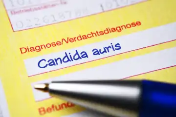 Ärztlicher Überweisungsschein mit Diagnose Candida auris, Fotomontage