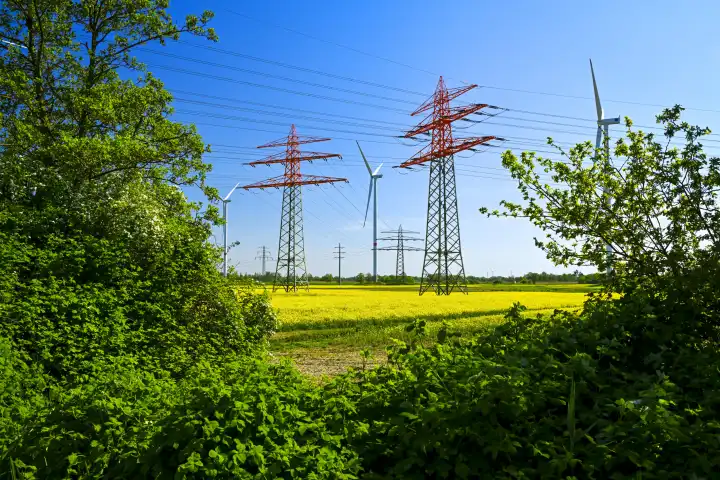 Electricity pylons, wind turbines and rapeseed fields in Curslack, Hamburg, Germany