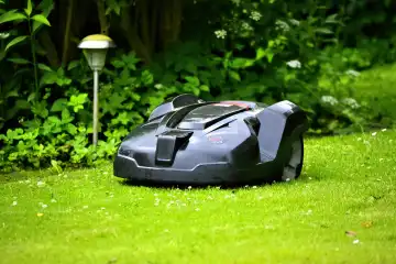 Robot mower on a lawn