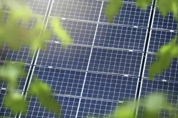 Solaranlage auf einem Dach hinter grünen Blättern, Fotomontage