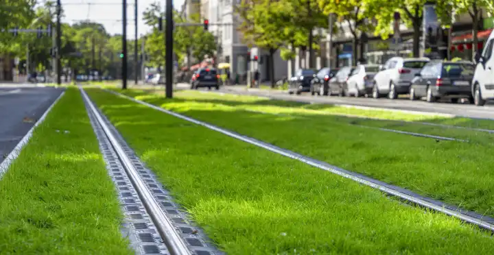 Turf in the track bed of the streetcar, new track in Turmstraße in Moabit, Berlin, Germany