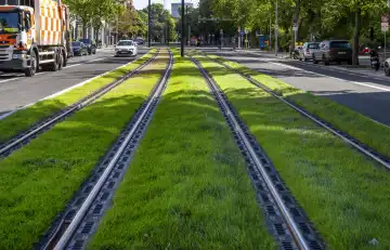 Rollrasen im Gleisbett der Straßenbahn, neue Trasse in der Turmstraße in Moabit, Berlin, Deutschland