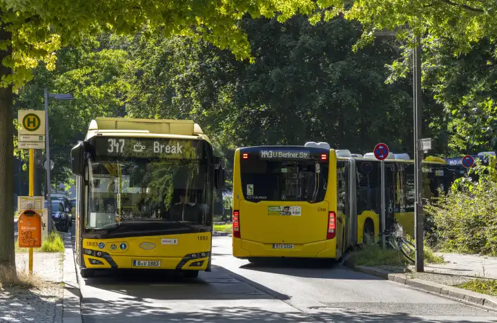 gelbe Linienbusse Busse, BVG Endhaltestelle, Alt-Stralau, Berlin, Deutschland