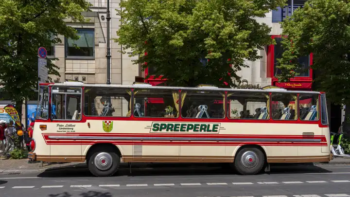nostalgischer Reisebus, Unter den Linden, Berlin, Deutschland