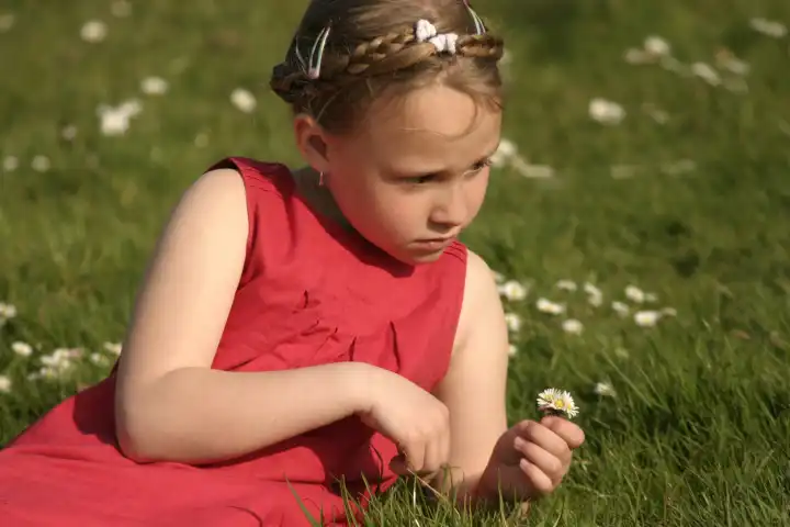 Girl in Meadow playing with Daisies