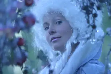 Snow Queen, Fairy Tale Figure