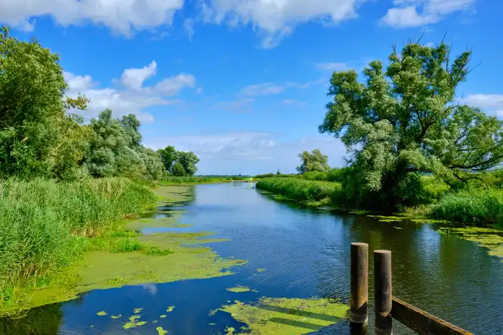 Malerische Fluss-Landschaft bei Nehringen, Gemeinde Grammendorf, Mecklenburg-Vorpommern, Deutschland: Blick von der unter Denkmalschutz stehenden hölzernen Klappbrücke über die Trebel.