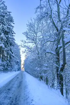 Light at the end of the road, winter-snow-covered highway through the forest after the onset of winter on the Swabian Alb, Münsingen, Baden-Württemberg, Germany.