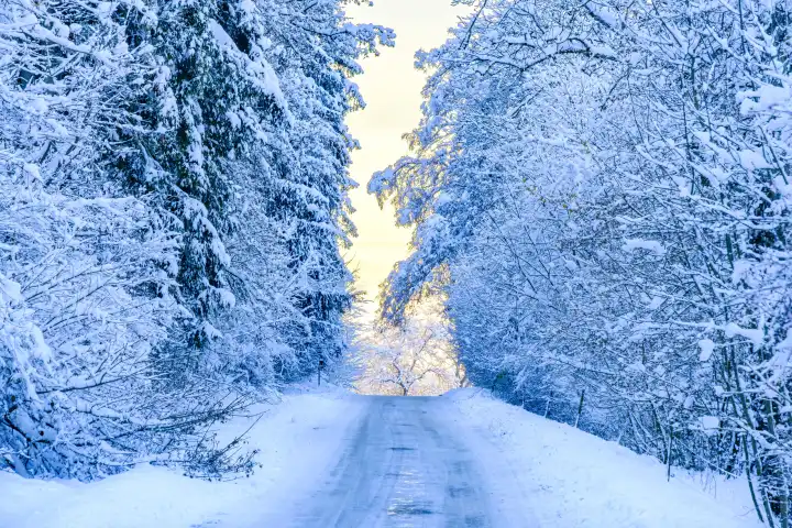 Licht am Ende der Straße, winterlich verschneite Landstraße durch den Wald nach Einbruch des Winters auf der Schwäbischen Alb, Münsingen, Baden-Württemberg, Deutschland.