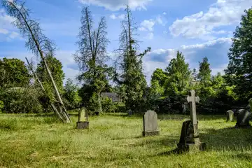 Friedhofsromantik und versunkene Gräber, historischer Evangelischer Friedhof Bad Carlsruhe (Pokoj), Kreis Namslau (Namyslow), Woiwodschaft Oppeln, Oberschlesien, Polen.