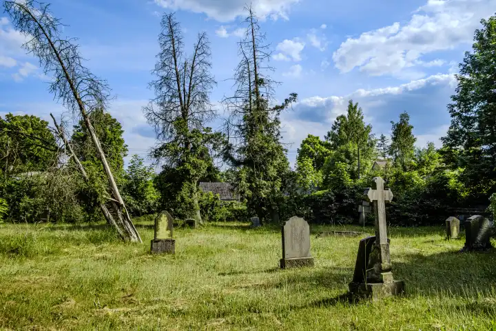 Friedhofsromantik und versunkene Gräber, historischer Evangelischer Friedhof Bad Carlsruhe (Pokoj), Kreis Namslau (Namyslow), Woiwodschaft Oppeln, Oberschlesien, Polen.