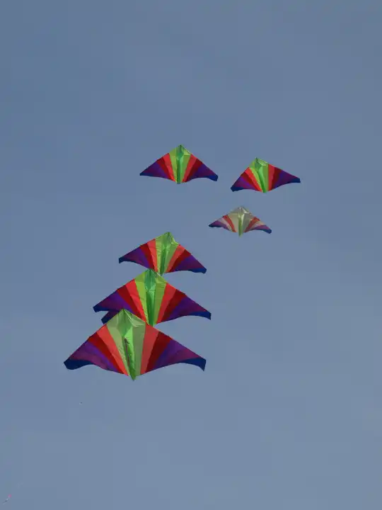 Kites on the Sky