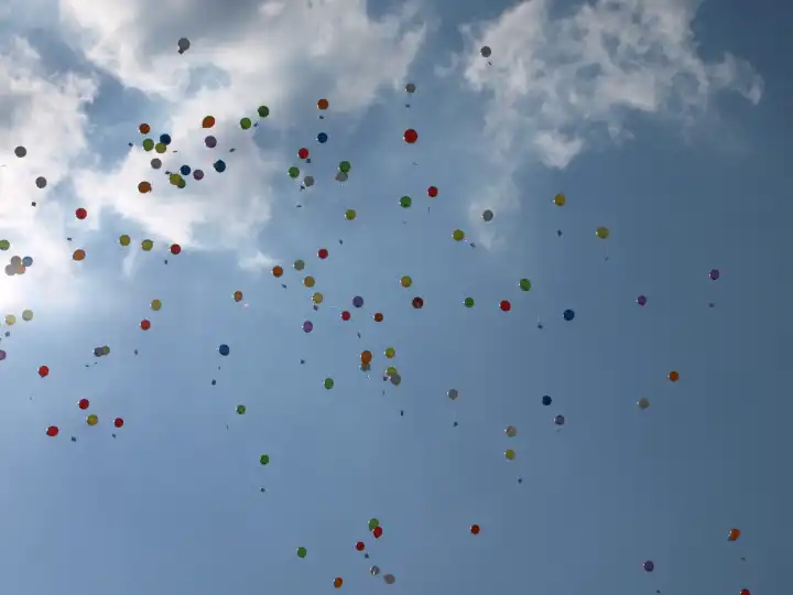 Ballons on the Sky