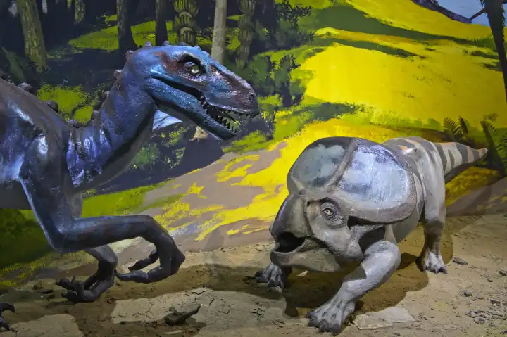 Rekonstructed dinosaurs, Mongolian Central Museum of Dinosaur, Natural History Museum, Ulaanbaatar, Mongolia