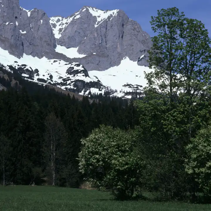 Wilder Kaiser, Tirol, Ã–sterreich