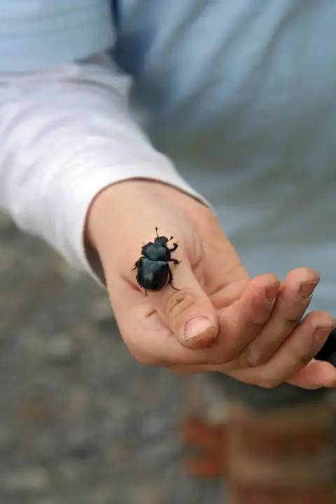 child with insect on his hand