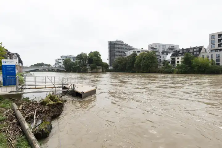 Flood, Danube, Ulm, Baden-Württemberg, Germany, Europe
