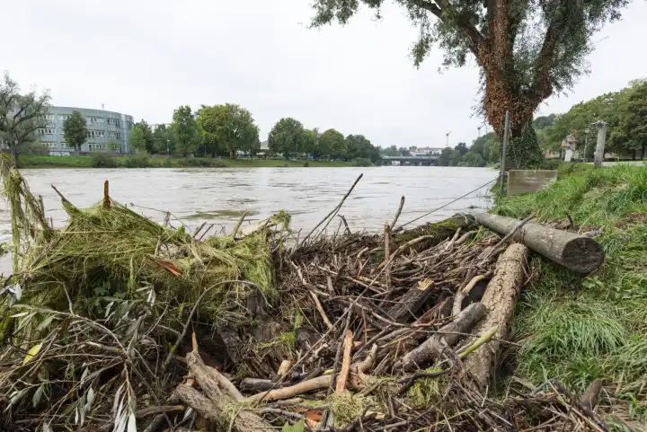 Flood, Danube, Ulm, Baden-Württemberg, Germany, Europe