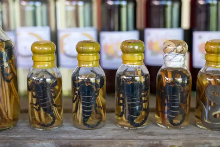 Choum, rice liquor, rice wine with pickled scorpions and snakes for sale, Laos, Asia